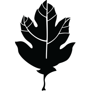 Leaf Symbol